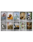 Картридж Fujifilm Instax MINI 10шт, STONE GRAY