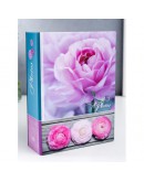 Фотоальбом Image Art IA-200PP серия 332, 200 фото 10х15 см