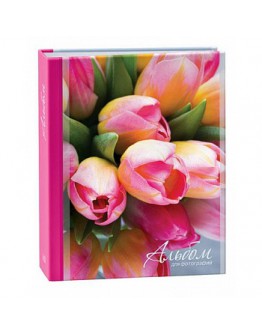 Фотоальбом Image Art IA-200PP серия 251, 200 фото 10х15 см