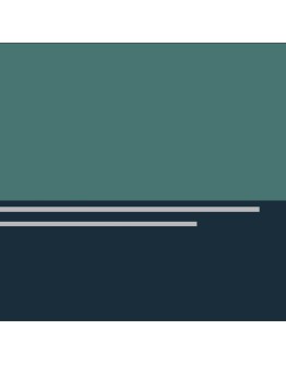 Настоящий авантюрист